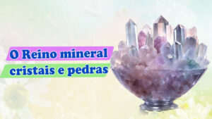 Leia mais sobre o artigo O Reino mineral, cristais e pedras